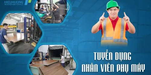 Sản phẩm anh dai dien nhan vien phu may 500x250 — Ván ép Hiếu Hương - Công Ty TNHH Hiếu Hương — MST 0200441805