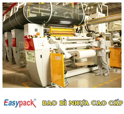 Sản phẩm bao bi — Công Ty Cổ Phần Sivico — MST 0200456505
