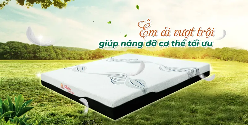 Sản phẩm 5078banner loxo — Chăn Ga Gối Đệm Hàn Quốc - Công Ty Cổ Phần Đầu Tư Sản Xuất Và Thương Mại Tuấn
Anh — MST 0200460420