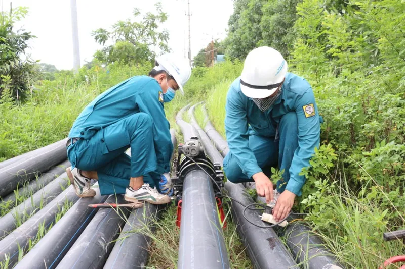 Sản phẩm 04_9_5 — Công Ty TNHH Thắng Thanh — MST 0200507326