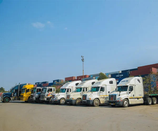 Sản phẩm 46 1 — Công Ty Trách Nhiệm Hữu Hạn Xuân Hà — MST 0200513104