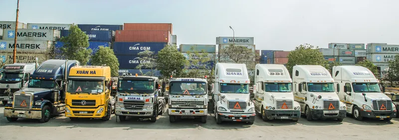Sản phẩm bs5 1 — Công Ty Trách Nhiệm Hữu Hạn Xuân Hà — MST 0200513104