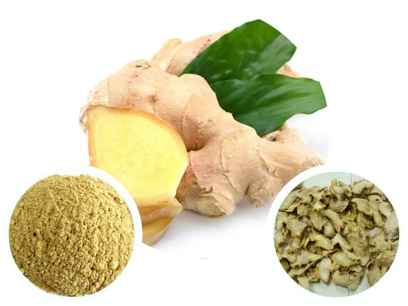 Sản phẩm 1444377423_gung2 — Công Ty TNHH Hương Liệu Thực Phẩm Việt Nam — MST 0200566628