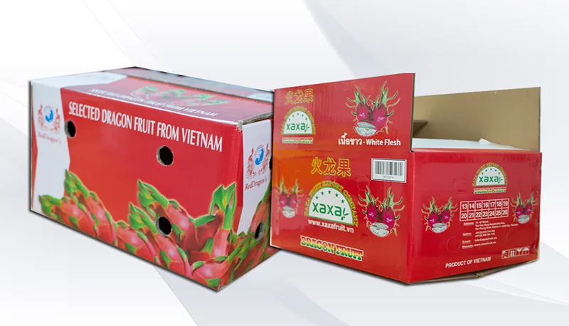 Sản phẩm 5468carton thanh long lon 937 jpg — Bao Bì Việt Long - Công Ty Cổ Phần Sản Xuất Bao Bì Việt Long — MST 0200613363