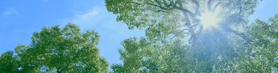 Sản phẩm banner_CSR — Công Ty TNHH Nissei Eco Việt Nam — MST 0200653912
