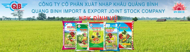 Văn phòng Công Ty Cổ Phần Xuất Nhập Khẩu Quảng Bình #? — MST 0200730878