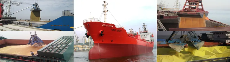 Sản phẩm t12 — Công Ty Cổ Phần Xuất Nhập Khẩu Quảng Bình — MST 0200730878