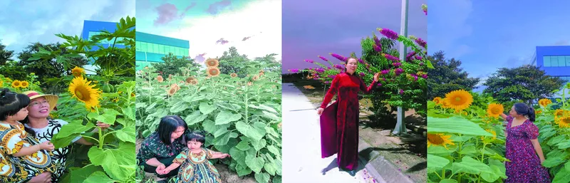 Sản phẩm untitled 1a — Chi Nhánh Hải Dương - Công Ty TNHH Một Thành Viên Thương Mại Vân Hà — MST 0200755907