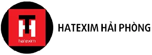 Logo Vận Tải Hatexim Hải Phòng - Công Ty Cổ Phần Đầu Tư Và Thương Mại Hatexim Hải
Phòng
