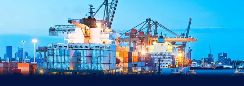 Sản phẩm dich vu xuat nhap khau l49 — Công Ty CP Tư Vấn Đầu Tư Công Trình Hàng Hải Việt Nam — MST 0200805121