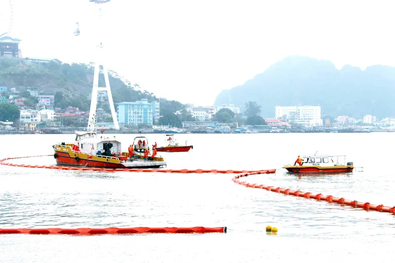 Sản phẩm lap ke hoach ung pho su co tran dau ung cuu su co tran dau cang kho xang dau mcic neoil — Công Ty CP Tư Vấn Đầu Tư Công Trình Hàng Hải Việt Nam — MST 0200805121