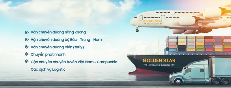 Sản phẩm cover 1 — Công Ty TNHH Thương Mại Và Dịch Vụ Ngôi Sao Vàng — MST 0200890455