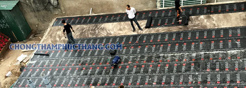 Sản phẩm 681 — Công Ty TNHH Xây Dựng Phúc Thắng — MST 0200935547