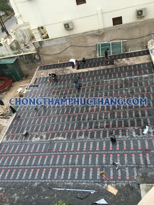 Sản phẩm a10 — Công Ty TNHH Xây Dựng Phúc Thắng — MST 0200935547