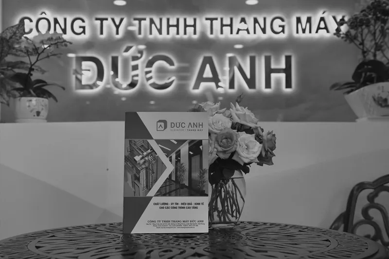 Sản phẩm thang may — Thang Máy Đức Anh - Công Ty CP Thang Máy Đức Anh — MST 0201096213
