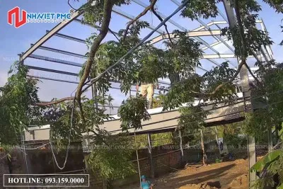 Sản phẩm thi cong nha van phong tai hai phong ncn17 ctnhaviet17 07062022 011_thumb — Xây Dựng Nhà Việt - Công Ty Cổ Phần Công Trình Nhà Việt — MST 0201101110