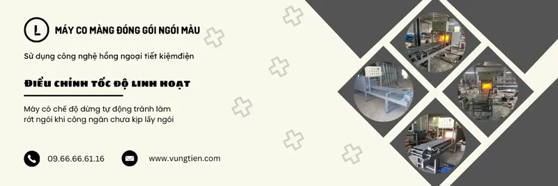 Sản phẩm may co mang dong goi ngoi mau 1 — Công Ty TNHH Vững Tiến Hải Phòng — MST 0201116888