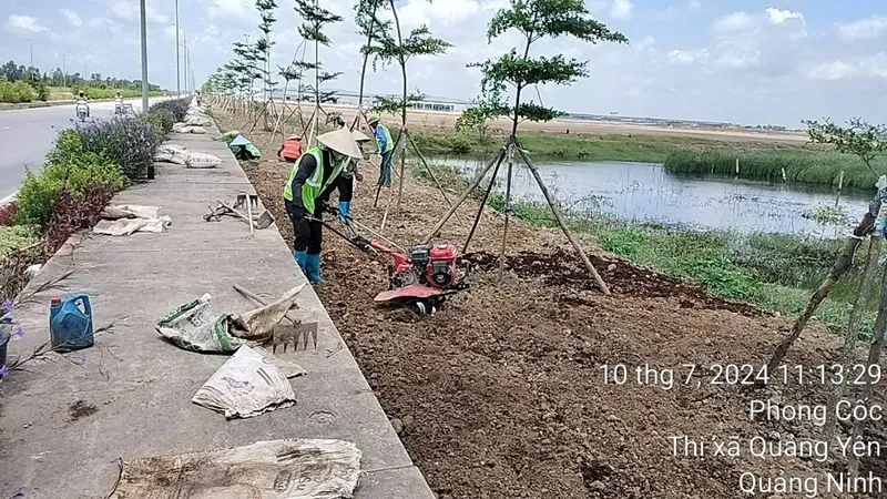 Sản phẩm 106c6e5d6f19d147880811 — Vệ Sinh Công Nghiệp Toàn Mỹ - Công Ty TNHH Làm Sạch Công Nghiệp Toàn Mỹ — MST 0201127976