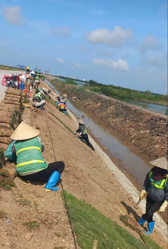 Sản phẩm 17f168156851d60f8f4028 — Vệ Sinh Công Nghiệp Toàn Mỹ - Công Ty TNHH Làm Sạch Công Nghiệp Toàn Mỹ — MST 0201127976