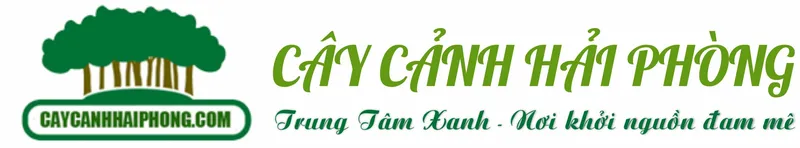 Logo Công Ty Cổ Phần Phát Triển Xây Dựng Trung Tâm Xanh