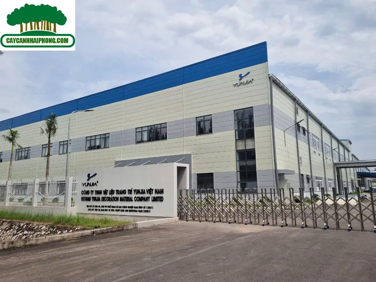 Sản phẩm z5803298181552_f0732c213f47b7d3cc831361d780c03b — Công Ty Cổ Phần Phát Triển Xây Dựng Trung Tâm Xanh — MST 0201156279
