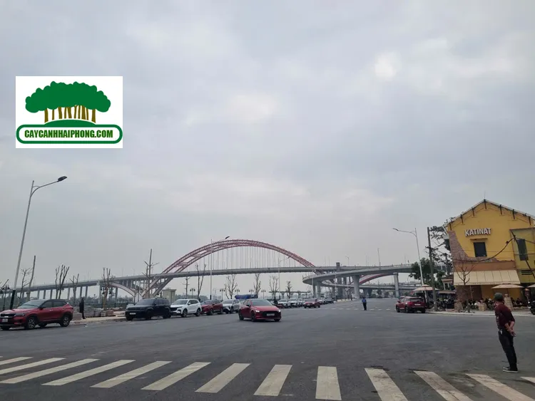 Sản phẩm z7433125040908_3b8d3d3a6db0f36b774f56811a1ca422 1 — Công Ty Cổ Phần Phát Triển Xây Dựng Trung Tâm Xanh — MST 0201156279