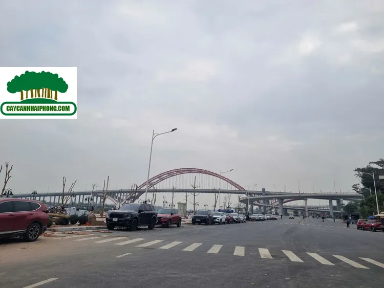 Sản phẩm z7433125058285_55be245a69df135a1a0b4ca8e186ebf1 — Công Ty Cổ Phần Phát Triển Xây Dựng Trung Tâm Xanh — MST 0201156279