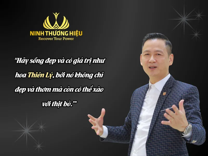 Sản phẩm 2 — Thiết Kế Thương Hiệu Toxebrand - Công Ty CP Phát Triển Thương Hiệu Toxebrand — MST 0201175433