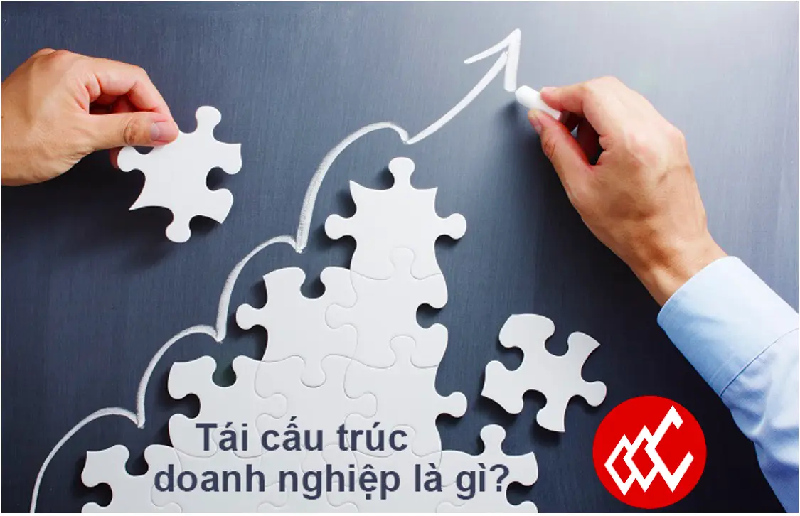 Sản phẩm tai cau truc doanh nghiep ben vung — Thiết Kế Thương Hiệu Toxebrand - Công Ty CP Phát Triển Thương Hiệu Toxebrand — MST 0201175433