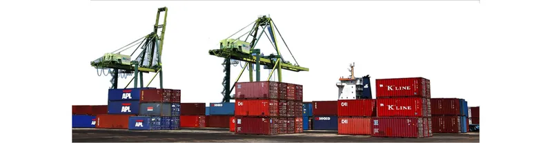 Sản phẩm 5 — Công Ty TNHH Thương Mại Dịch Vụ Vận Chuyển Aseax — MST 0201182751