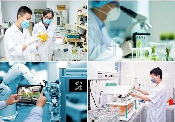 Sản phẩm bo kh cn huong dan ve liem chinh khoa hoc — Công Ty Cổ Phần Phát Triển Xây Dựng Dưỡng Động — MST 0201197839