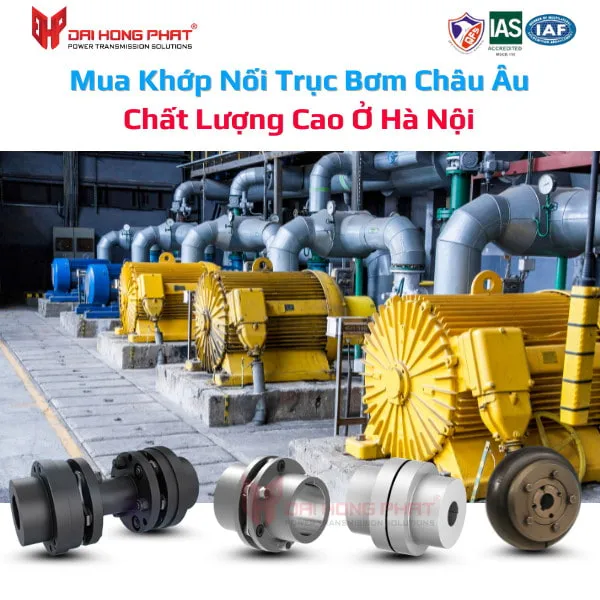 Sản phẩm Mua khớp nối trục bơm châu âu chất lượng cao ở Hà Nội — Công Ty Cổ Phần Phát Triển Xây Dựng Dưỡng Động — MST 0201197839