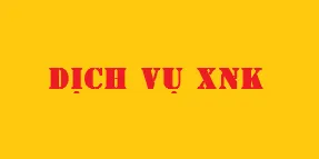 Sản phẩm dich vu xuat nhap khau — Công Ty TNHH Thương Mại Xuất Nhập Khẩu VNCUS — MST 0201213544