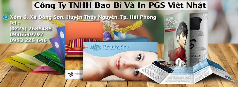 Sản phẩm 8189801666 — Bao Bì PGS Việt Nhật - Công Ty TNHH Bao Bì Và In PGS Việt Nhật — MST 0201274297