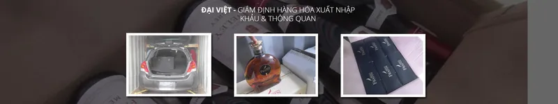 Sản phẩm d(1) — DAIVIETCONTROL - Công Ty Cổ Phần Giám Định Và Dịch Vụ Đại Việt — MST 0201278439