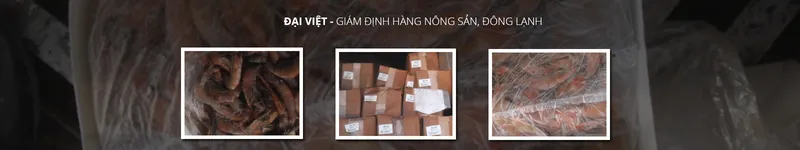 Sản phẩm e — DAIVIETCONTROL - Công Ty Cổ Phần Giám Định Và Dịch Vụ Đại Việt — MST 0201278439