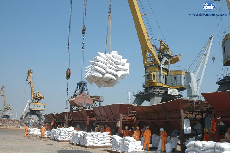 Sản phẩm 589hoang_dieu3 — Công Ty Cổ Phần Thương Mại Vận Tải AD — MST 0201290034