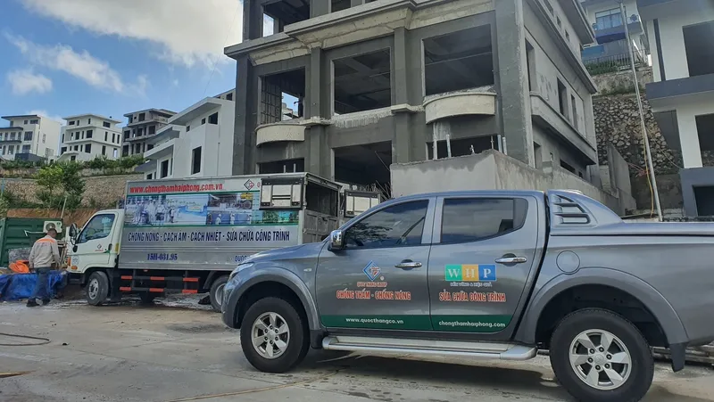 Sản phẩm 113 — Công Ty Cổ Phần Xây Dựng Và Chống Thấm Hải Phòng — MST 0201293003