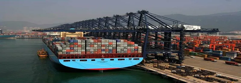Sản phẩm emma maersk — Công Ty TNHH UPCO — MST 0201295018
