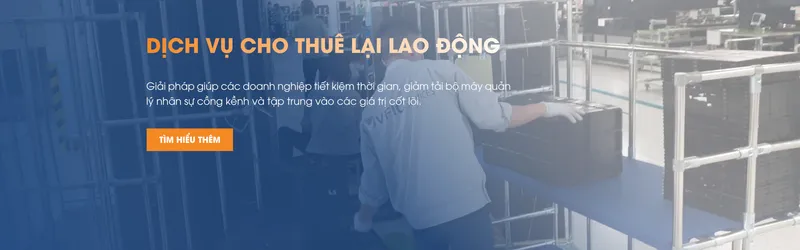 Sản phẩm Dich vu cho thue lai lao dong — Công Ty Cổ Phần Quốc Tế Thương Mại Và Dịch Vụ Việt Pháp — MST 0201307104
