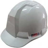 Sản phẩm 2453Mũ nhựa Hàn Quốc SSEDA — Công Ty Cổ Phần Thương Mại Và Dịch Vụ Gmax — MST 0201318441