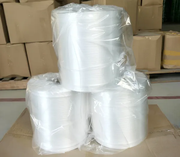Sản phẩm Day buoc tu dong PE 2 — Vật Liệu Đóng Gói Kiệt Phong - Công Ty TNHH Sản Xuất Dây Đai Và Túi Nylon Kiệt
Phong — MST 0201576636