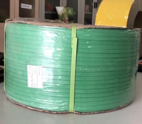 Sản phẩm Day dai nep thung PP cac mau 2 — Vật Liệu Đóng Gói Kiệt Phong - Công Ty TNHH Sản Xuất Dây Đai Và Túi Nylon Kiệt
Phong — MST 0201576636