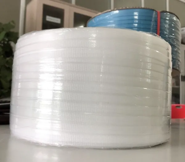 Sản phẩm Day dai nep thung PP cac mau 4 — Vật Liệu Đóng Gói Kiệt Phong - Công Ty TNHH Sản Xuất Dây Đai Và Túi Nylon Kiệt
Phong — MST 0201576636