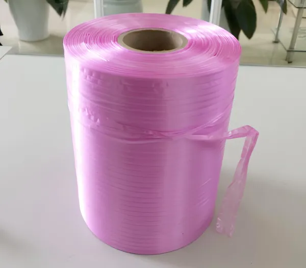 Sản phẩm Day PE hong — Vật Liệu Đóng Gói Kiệt Phong - Công Ty TNHH Sản Xuất Dây Đai Và Túi Nylon Kiệt
Phong — MST 0201576636