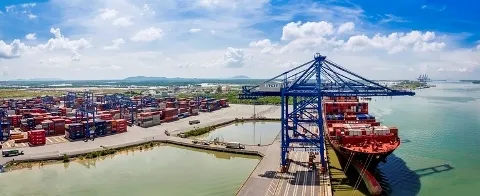 Sản phẩm 9836caimep — Vận Tải Và Logistics VTM - Công Ty TNHH Vận Tải Và Logistics VTM — MST 0201608662