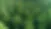 Sản phẩm 11062b_d578b9d4ffba48c68d086ec29fe9e6f0f000 — Công Ty TNHH Sarnti Green Pack Việt Nam — MST 0201628242