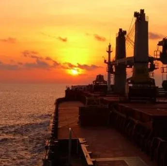 Sản phẩm Bulker_at_sunset e1620797827712 — Công Ty TNHH Vina TD — MST 0201629366