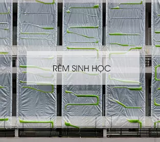 Sản phẩm rem sinh hoc hai phong — Công Ty Cổ Phần Hệ Thống Rèm Phong Thủy Việt Nam - Rèm 69 — MST 0201641035