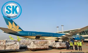 Sản phẩm HANG KHONG 300x180 — Công Ty TNHH Xuất Nhập Khẩu Logistics SK — MST 0201649958